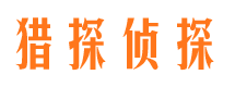 龙井侦探